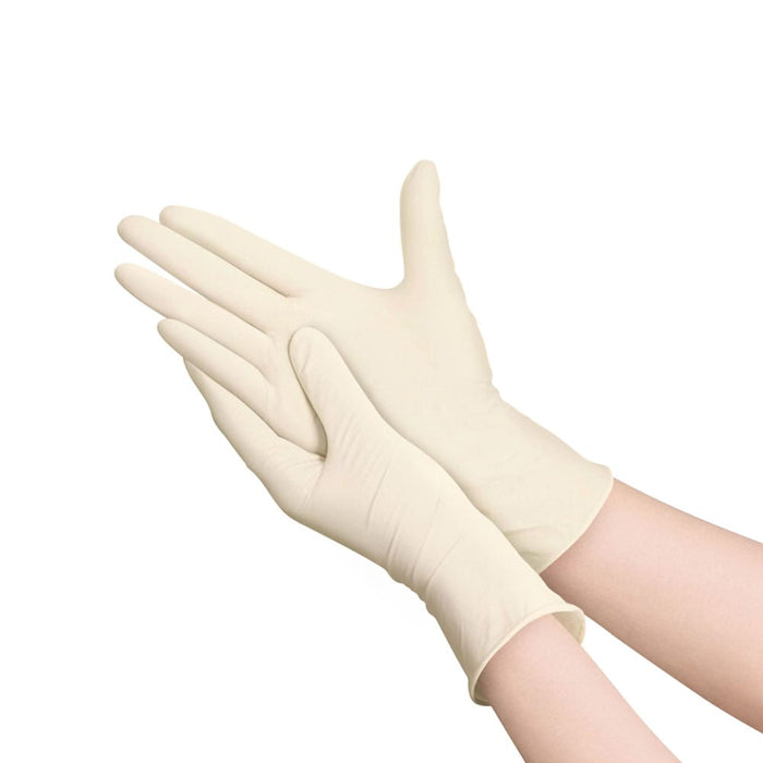(CG-00XX) Food Service Latex Glove Powder free, 100 per Box, 10 Boxes per Case