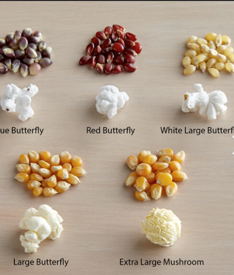(PD-5055) Carnival King, 5 lb. Butterfly Popcorn Kernels (Yellow, White, Mushroom, Blue and Red) (Special Order Item)