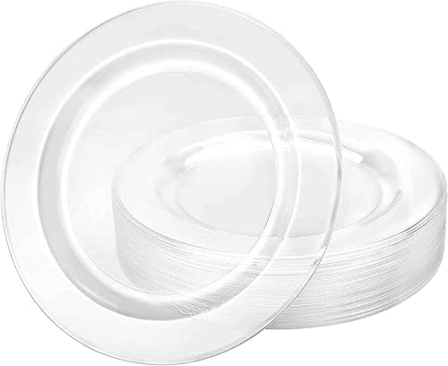 (PA-3000) Clear Plastic Plates, 6.25"