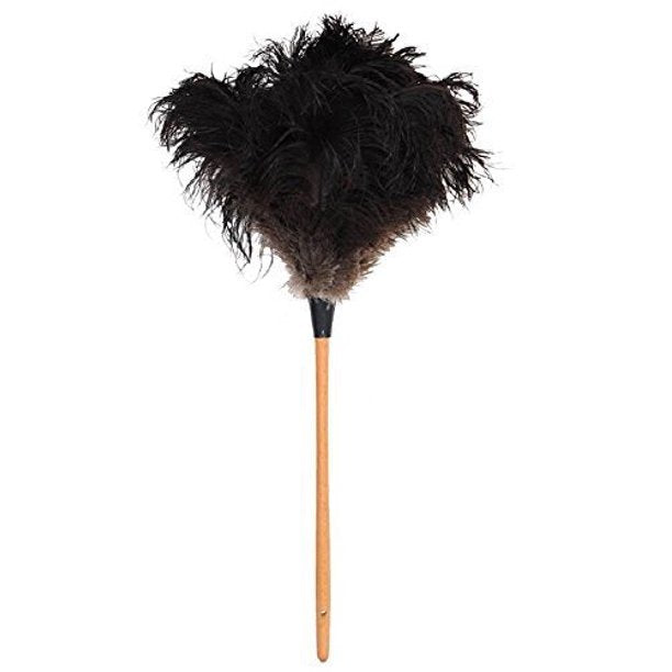 (CB-091X) Feather Duster